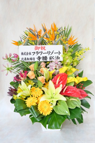 ☆新商品☆Nova/生花アレンジメント