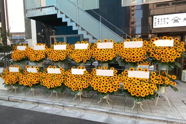 ひまわり２